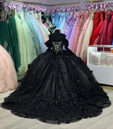 Exquisite Black Tulle Ball Gown Off-Shoulder Sweetheart Neckline with Floral Appliques for Quinceanera & Evening Galas